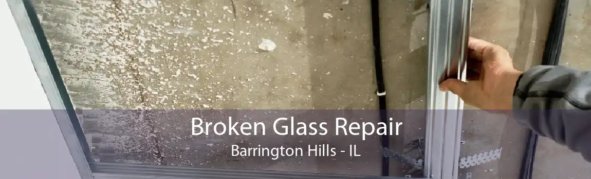 Broken Glass Repair Barrington Hills - IL