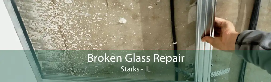 Broken Glass Repair Starks - IL