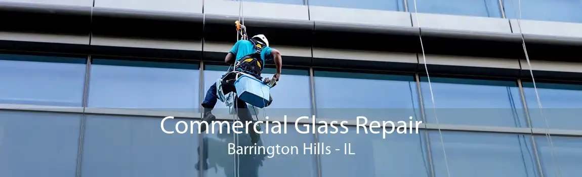 Commercial Glass Repair Barrington Hills - IL