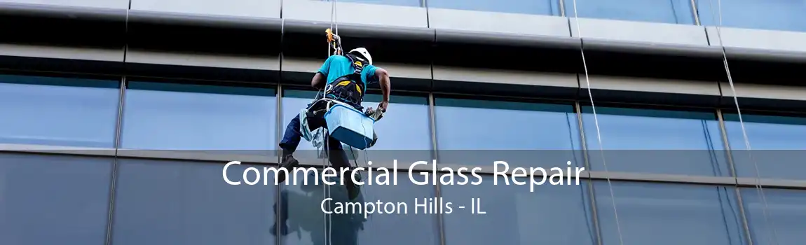 Commercial Glass Repair Campton Hills - IL