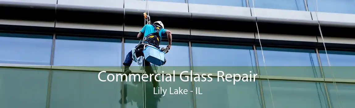 Commercial Glass Repair Lily Lake - IL