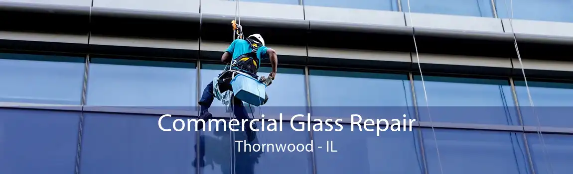 Commercial Glass Repair Thornwood - IL