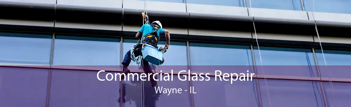 Commercial Glass Repair Wayne - IL