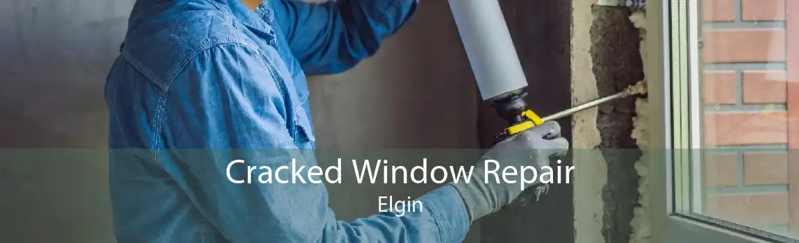 Cracked Window Repair Elgin