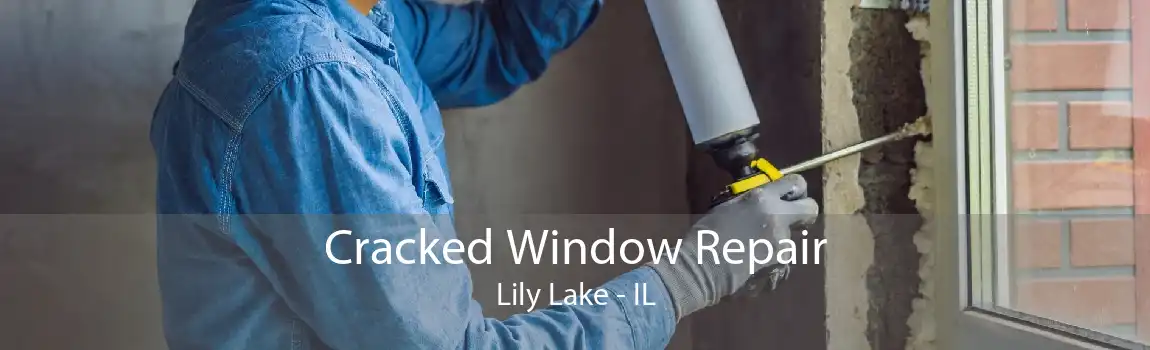 Cracked Window Repair Lily Lake - IL