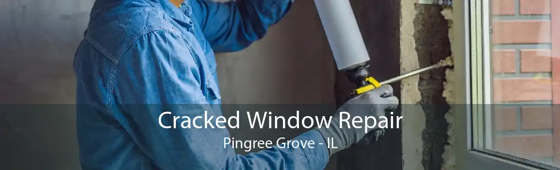 Cracked Window Repair Pingree Grove - IL