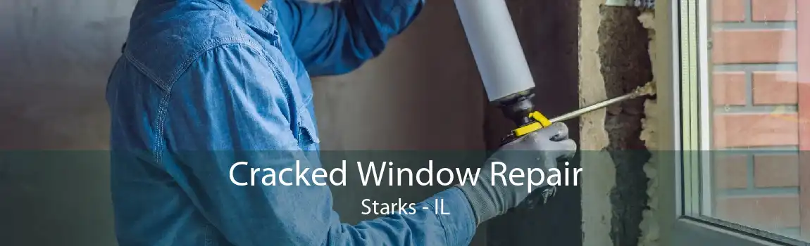 Cracked Window Repair Starks - IL