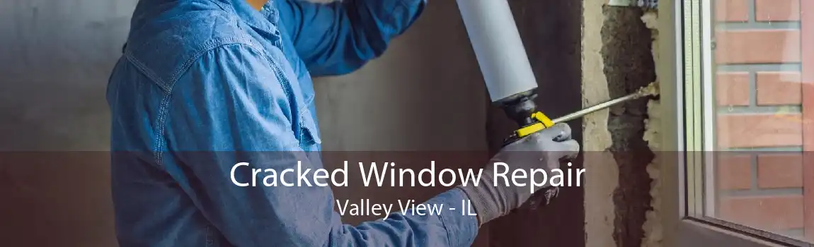 Cracked Window Repair Valley View - IL