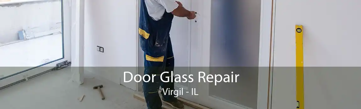 Door Glass Repair Virgil - IL