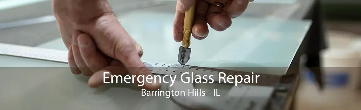 Emergency Glass Repair Barrington Hills - IL