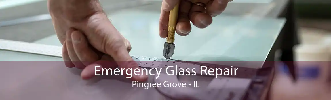 Emergency Glass Repair Pingree Grove - IL