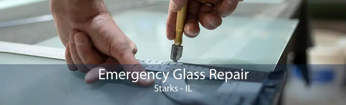 Emergency Glass Repair Starks - IL