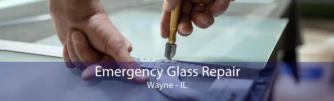 Emergency Glass Repair Wayne - IL