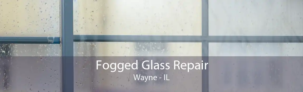 Fogged Glass Repair Wayne - IL