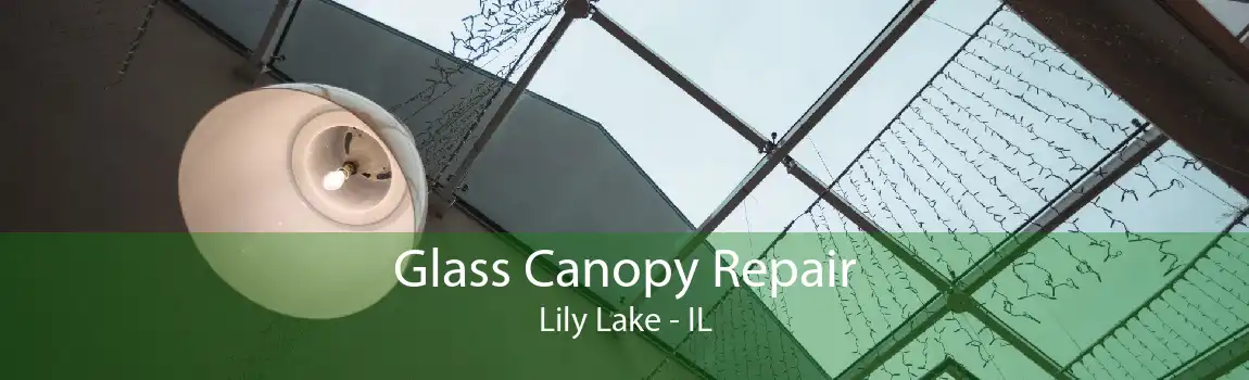 Glass Canopy Repair Lily Lake - IL