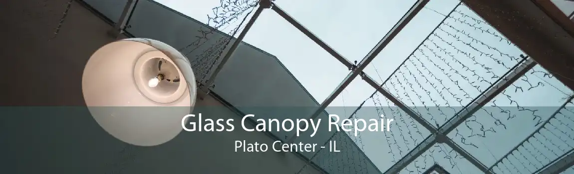 Glass Canopy Repair Plato Center - IL