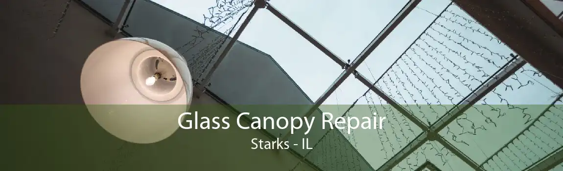 Glass Canopy Repair Starks - IL