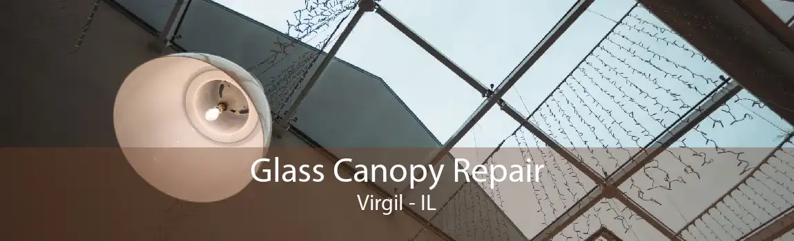 Glass Canopy Repair Virgil - IL