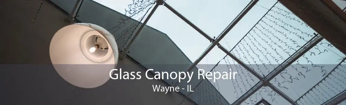 Glass Canopy Repair Wayne - IL