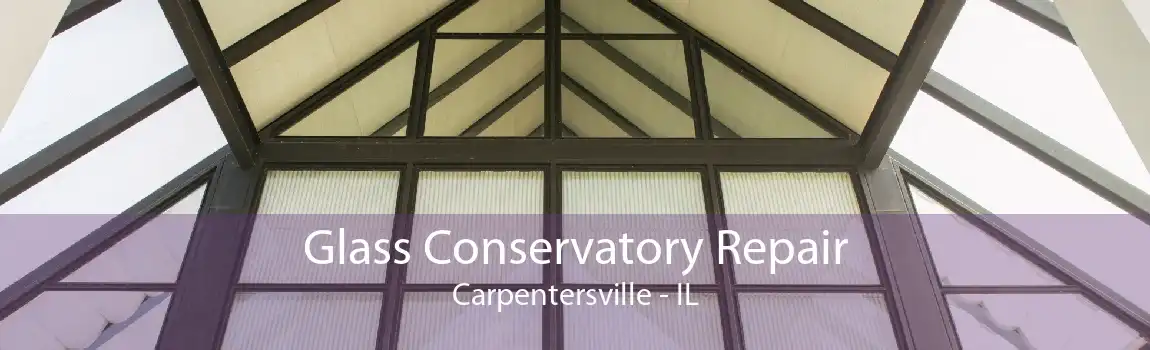 Glass Conservatory Repair Carpentersville - IL