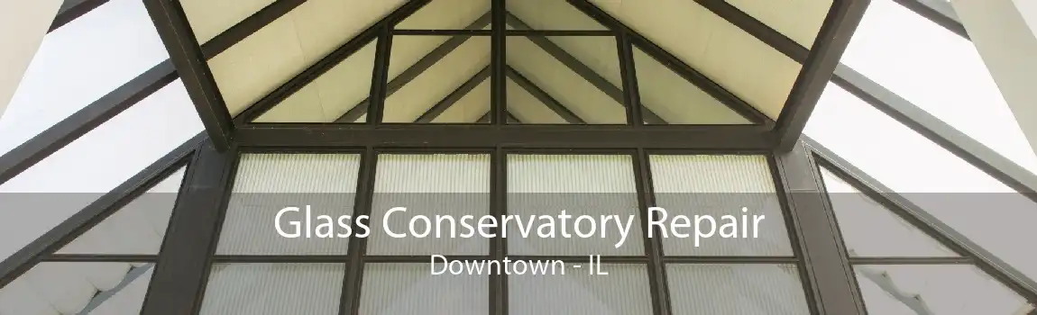 Glass Conservatory Repair Downtown - IL