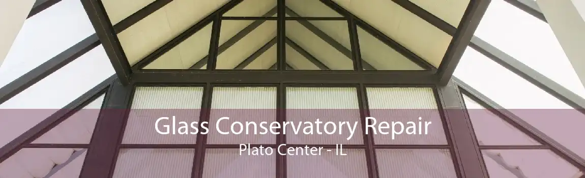 Glass Conservatory Repair Plato Center - IL