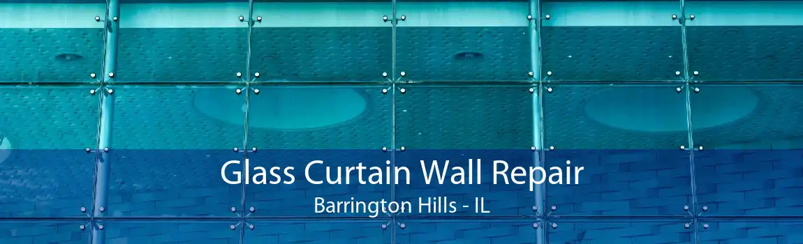 Glass Curtain Wall Repair Barrington Hills - IL