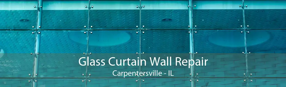 Glass Curtain Wall Repair Carpentersville - IL