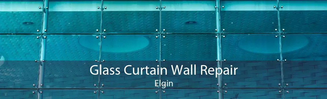 Glass Curtain Wall Repair Elgin