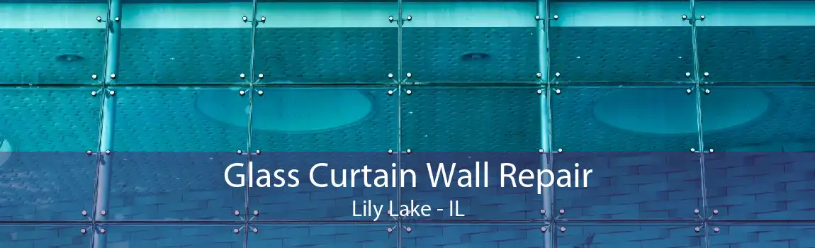 Glass Curtain Wall Repair Lily Lake - IL