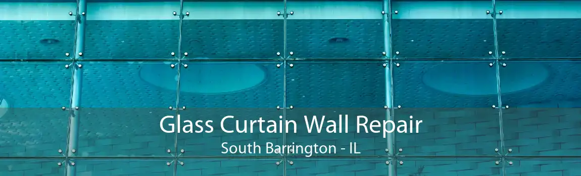 Glass Curtain Wall Repair South Barrington - IL