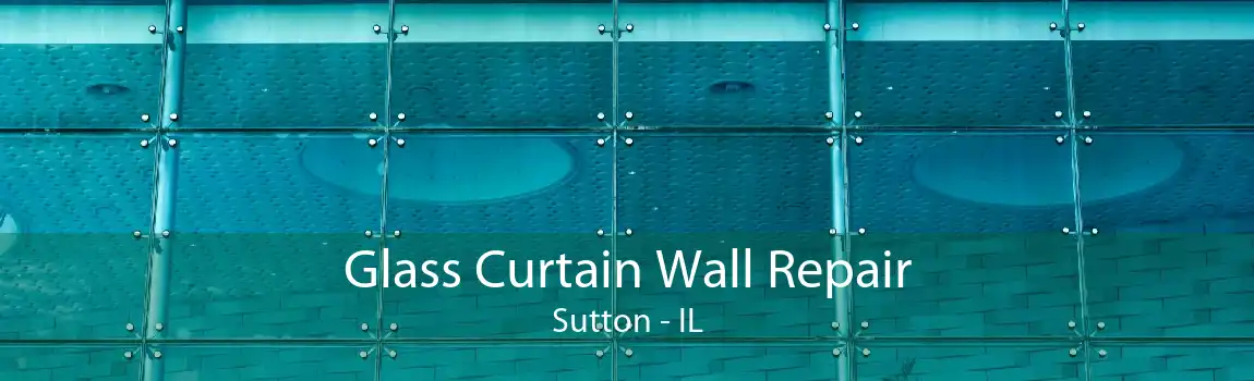 Glass Curtain Wall Repair Sutton - IL