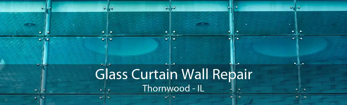 Glass Curtain Wall Repair Thornwood - IL