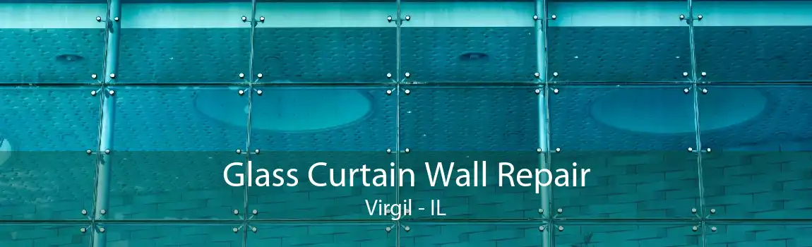 Glass Curtain Wall Repair Virgil - IL