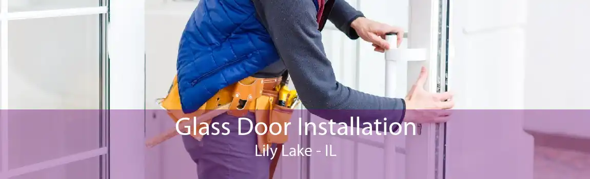 Glass Door Installation Lily Lake - IL