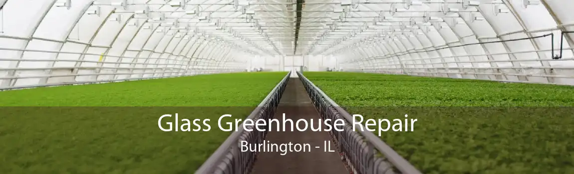 Glass Greenhouse Repair Burlington - IL