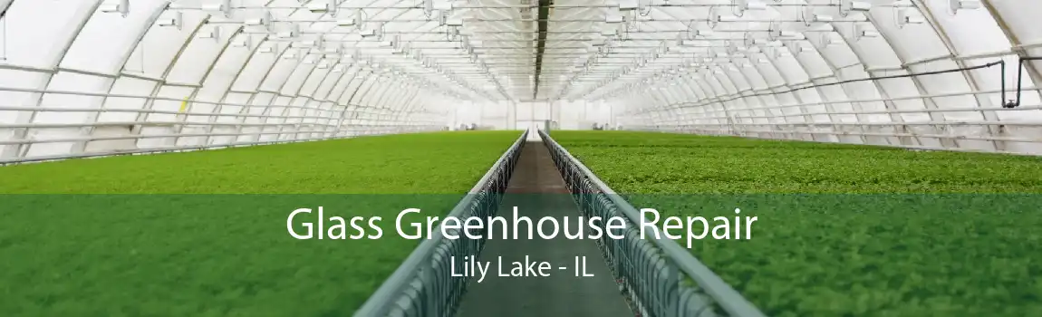 Glass Greenhouse Repair Lily Lake - IL