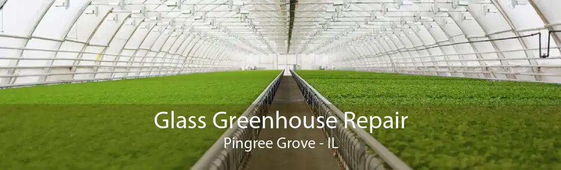 Glass Greenhouse Repair Pingree Grove - IL