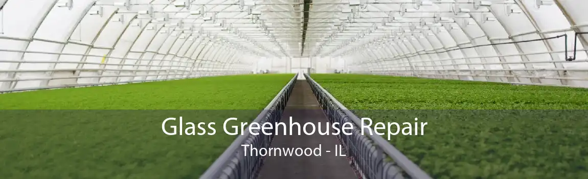 Glass Greenhouse Repair Thornwood - IL