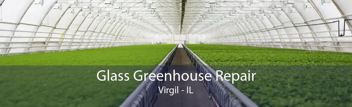 Glass Greenhouse Repair Virgil - IL