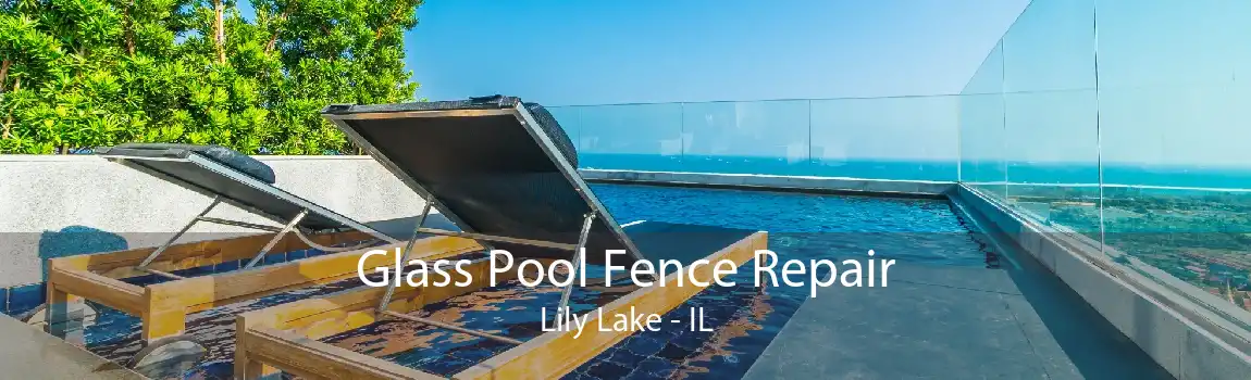 Glass Pool Fence Repair Lily Lake - IL