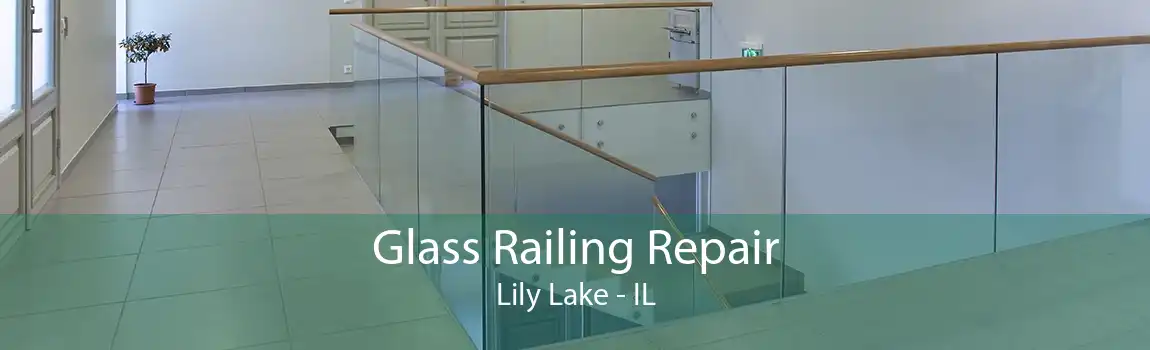 Glass Railing Repair Lily Lake - IL