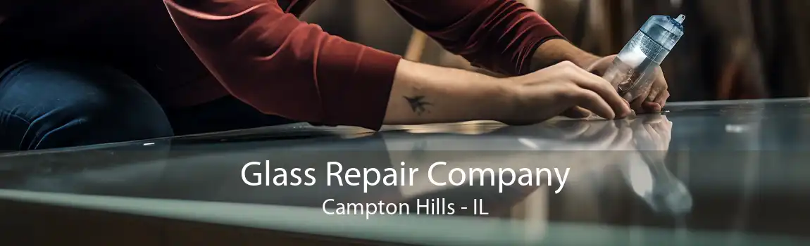 Glass Repair Company Campton Hills - IL