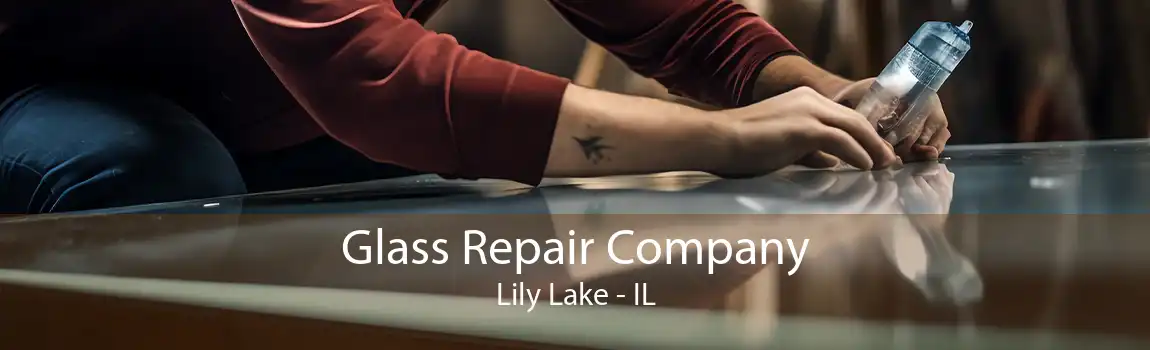 Glass Repair Company Lily Lake - IL