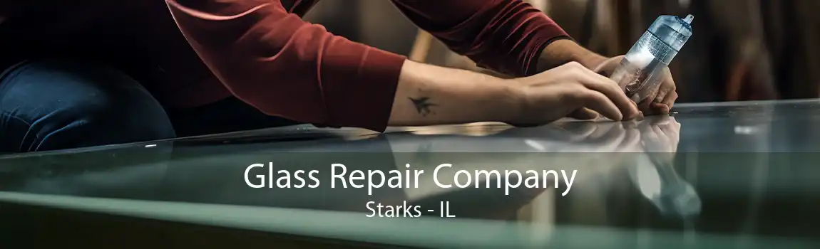 Glass Repair Company Starks - IL