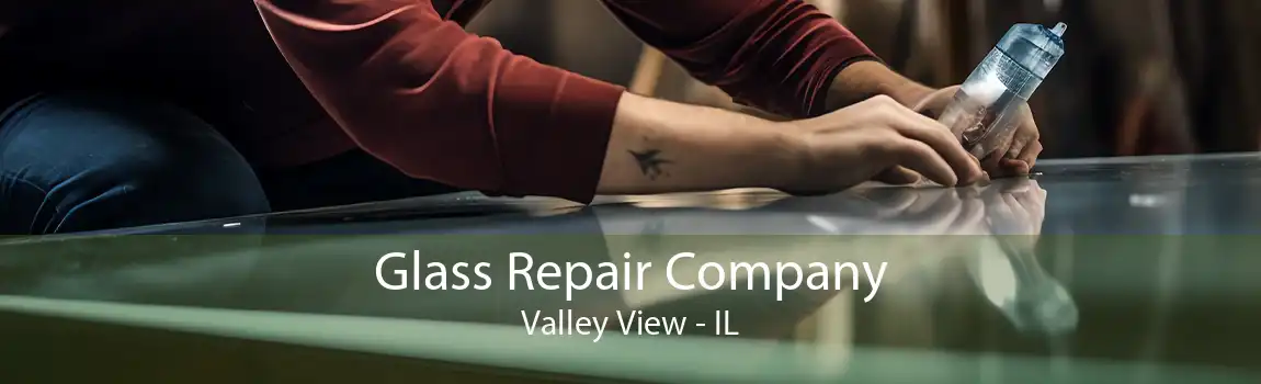 Glass Repair Company Valley View - IL