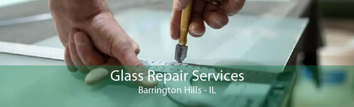 Glass Repair Services Barrington Hills - IL