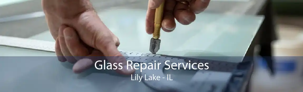 Glass Repair Services Lily Lake - IL