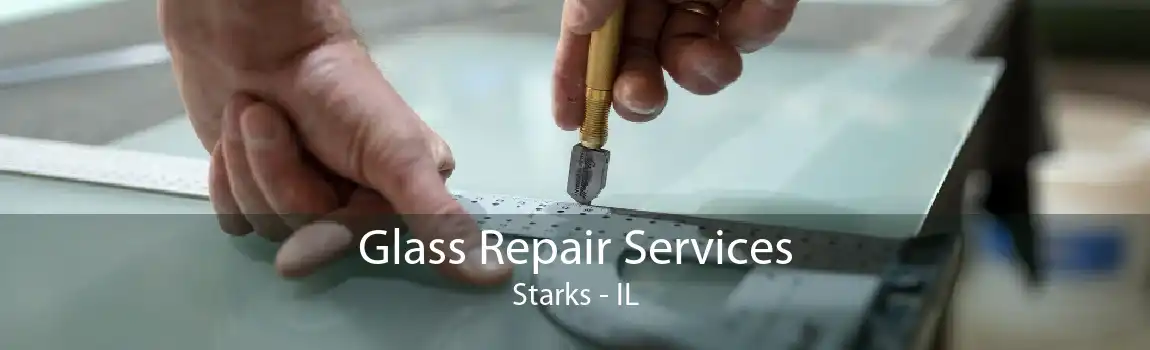 Glass Repair Services Starks - IL