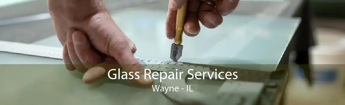 Glass Repair Services Wayne - IL